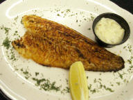 walleye.jpg